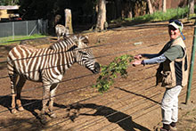 Photo of Zina with a zebra