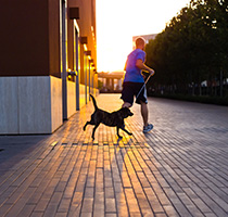 Photo of a man running with his dog. Links to Gifts of Real Estate.
